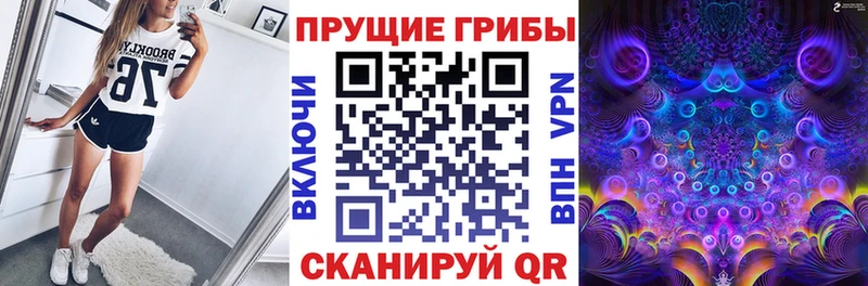 Галлюциногенные грибы мицелий  Купить где  Юрга 
